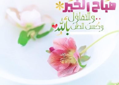 أجمل ورد صباح الخير Good Morning - صور ورد وزهور Rose Flower images